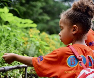 Free and Cheap Summer Camps in NYC for Kids: Brooklyn Cultural Adventures Program Summer Camp 