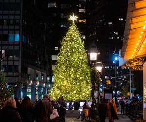 Kick off the season at the Seaport District Christmas Tree Lighting. Photo courtesy of the Seaport