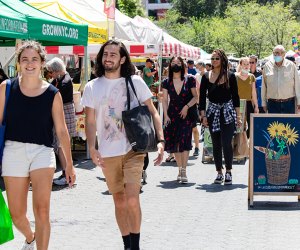 Union Square and Flatiron Guide: Union Square Greenmarket