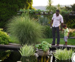 Pack a picnic and enjoy an alfresco lunch with dad at Wave Hill on Father's Day. Photo courtesy of Wave Hill