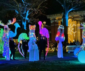 The Bronx Zoo lights up at night during the 2024 holiday season. Photo by Ally Noel