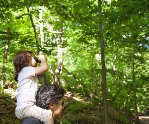 Whether you are celebrating Columbus Day or Indigenous Peoples Day, the Prospect Park Alliance has tons of activities for the whole family to enjoy! Photo courtesy of the alliance 