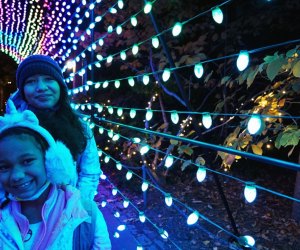 Walk past stunning lanterns and through tunnels of light at the Bronx Zoo Holiday Lights. 