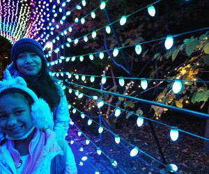 Best of the Bronx: Bronx Zoo Holiday Lights 