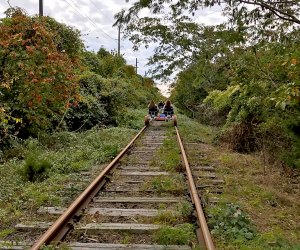 Revolution Rail Co.: Unique ways to see fall leaves NYC