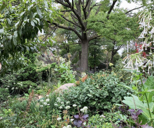 Things to do in Williamsburg, Brooklyn with kids: Green Dome Garden