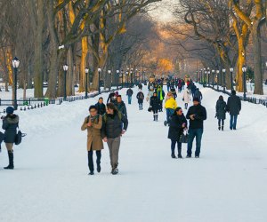 Embrace the winter magic in Central Park. Tagger Yancey IV/NYC Tourism + Conventions