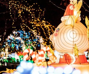 Holiday Activities in NYC: Winter Lantern Festival