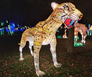 NYC Winter Lantern Festival Lights Up the Queens County Museum