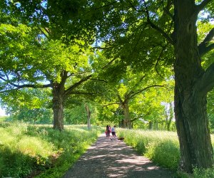 Take a leisurely familly hike at Rockefeller State Park. Photo by Sara M