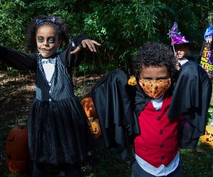 The bronx Zoo is transforming the park and celebrating Boo at the Zoo with safe, family fun activities all month long. Photo by Julie Larsen Maher