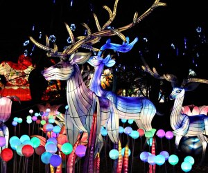 See the NYC Winter Lantern Festival on Staten Island. Photo courtesy of the festival