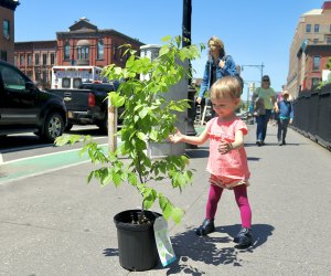 Get a FREE Tree from NYRP