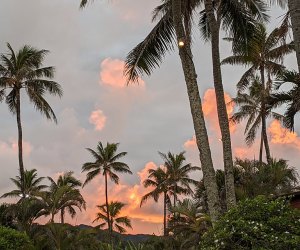 Polynesian Cultural Center. sunset