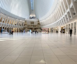 Things to do in the Financial District with kids: The Oculus