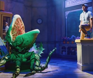 The off-Broadway revival of Little Shop of Horrors is perfectly set in a small theater, with big performances from its cast. Photo by Emilio Madrid-Kuser