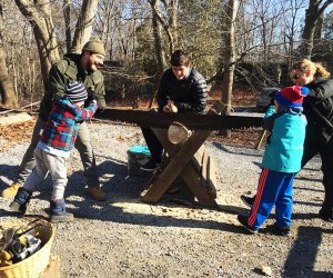 Take part in a log-sawing contest and other old-fashioned fun at the Rye Nature Center on Saturday. Photo by the author