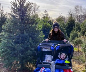 Easton Farms: Christmas Tree Capital of Connecticut