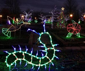 See nature-themed holiday lights at Holiday Lights in Bloom