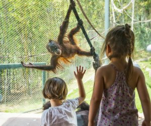 Things To Do with Preschoolers in Los Angeles: Los Angeles Zoo