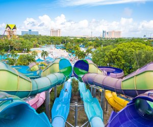 With a variety of water slides, guests can choose their level of thrills at Aquatica Orlando. Photo courtesy of Aquatica