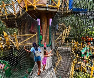 Central Florida and Orlando Attractions Offering Free Preschool Passes: Busch Gardens Tampa Bay.