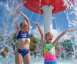 Take the family to Aquatica, a favorite water park in Orlando, before school starts back up. Photo courtesy of Sea World Orlando 
