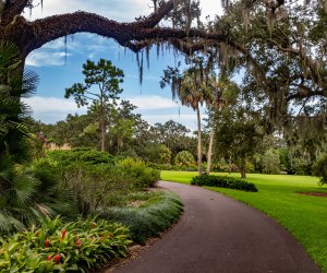 Bok Tower Gardens