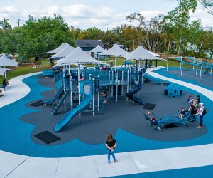 Cannery Park is an all-inclusive park with rubber pad surface, shade coverings, swings, and a soft landing pad at the end of all slides. 