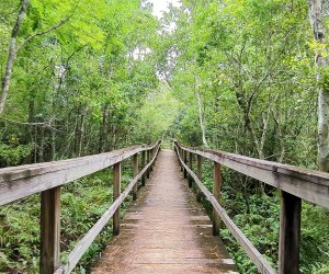 Kewanee Park Boardwalk – Casselberry