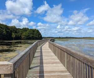Orlando Wetlands – Christmas