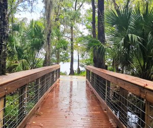 Lake Mills Boardwalk – Chuluota