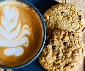 Best Coffee Shops in Orlando to Bring Your Kids: Palate Coffee