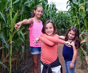 Corn Maze Orlando 12 Corn Mazes near Orlando for Fall Fun with Kids
