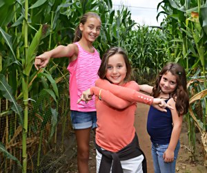 orlando fall bucket list  Corn Maze Orlando