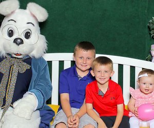 Snap a photo with the Easter Bunny at Seminole Towne Center. Photo by the author
