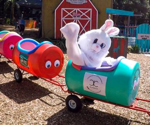 Ride the Bunny Train and have fun at the Egg-cellent Scavenger Hunt at Lil' Bit of Life Farm. Photo courtesy of the farm 