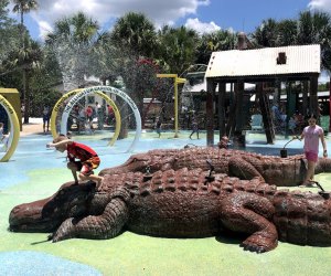 the splash park at Gatorland