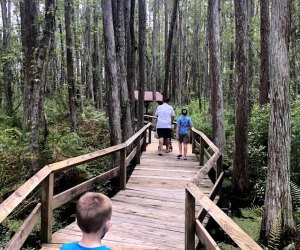 kids walking on a boardwalk through Florida's Everglades