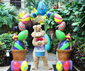 Enjoy a variety of spring activities with the Easter Bunny at Gaylord Palms' “Once Upon a Spring” event. Photo courtesy of the resort
