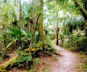 Highlands Hammock State Park Budget Weekend Getaways for Orlando Families