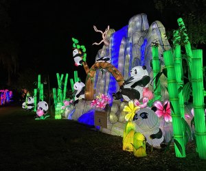 The Central Florida Zoo & Botanical Gardens transforms into the Asian Lantern Festival: Into the Wild during the holiday season! Photo courtesy of the zoo