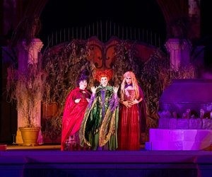 Mickey's Not-So-Scary Halloween Party Watch the mischievous Sanderson Sisters in Hocus Pocus Villain Spelltacular.