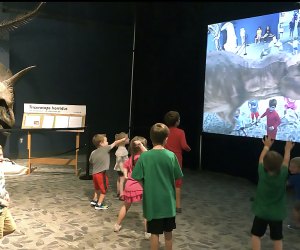 Sleepover with the dinosaurs at the Orlando Science Center. Photo by Charlotte B