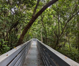 Sweetwater Park Boardwalk – Oviedo