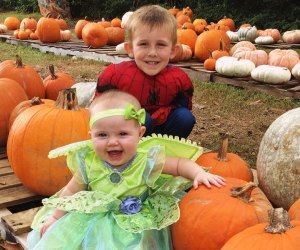 Choose the perfect pumpkin at East Lake Pumpkin Patch. Photo by the author