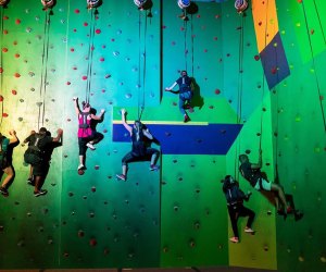 Awesome Indoor Rock Climbing Gyms in Orlando for Kids: Planet Obstacle