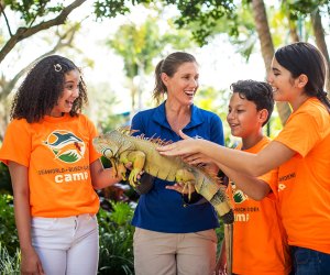 Immerse yourself in the world of zoos and aquariums at SeaWorld Orlando Camp. Photo courtesy of SeaWorld