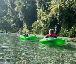 Float along in the natural spring at Kelly Park. 