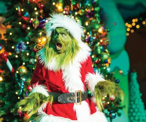 During the holiday season, the whimsical Seuss Landing gets decked out in Who-liday charm and cheer to celebrate Grinchmas.